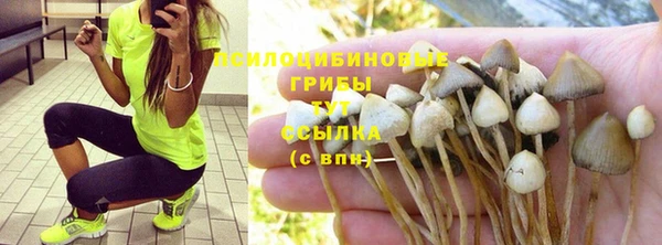 гашишное масло Вяземский