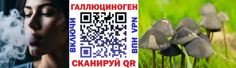 Псилоцибиновые грибы Magic Shrooms  Купить  Бакал 